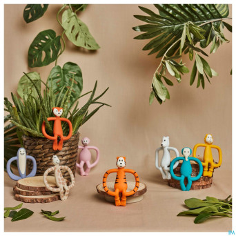 Matchstick monkey animal anneau dentition elephant