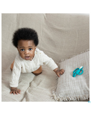 Matchstick monkey animal anneau dentition elephant