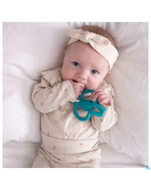 Matchstick monkey animal anneau dentition elephant