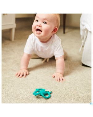 Matchstick monkey animal anneau dentition elephant