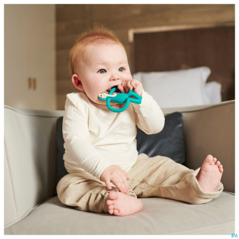 Matchstick monkey animal anneau dentition elephant