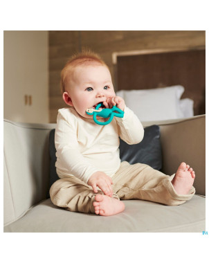 Matchstick monkey animal anneau dentition elephant