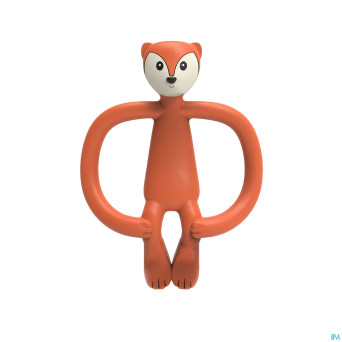 Matchstick monkey animal anneau dentition renard