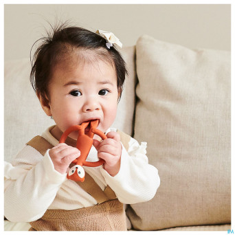 Matchstick monkey animal anneau dentition renard