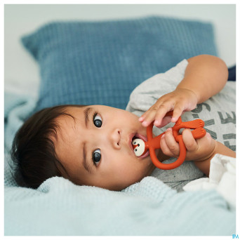 Matchstick monkey animal anneau dentition renard