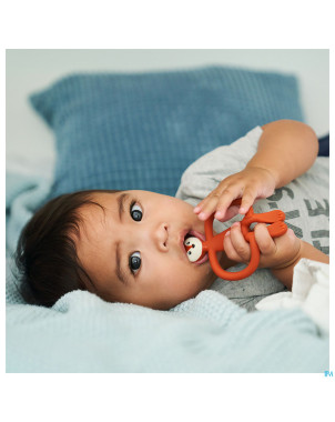 Matchstick monkey animal anneau dentition renard