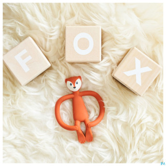 Matchstick monkey animal anneau dentition renard