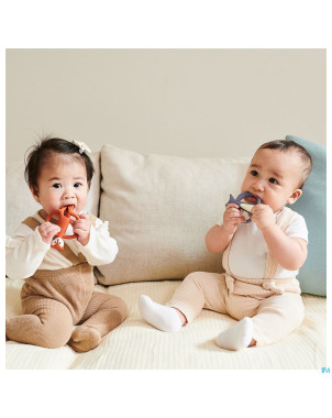 Matchstick monkey animal anneau dentition renard