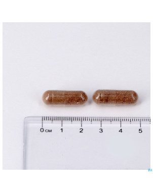 Antioxyvits caps 60 lepivits