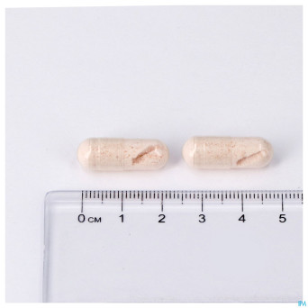 Collavits caps 60 lepivits