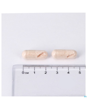 Collavits caps 60 lepivits