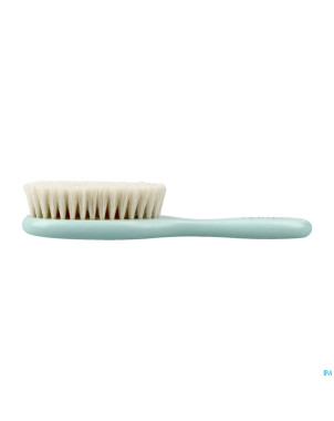 Cartel brosse cheveux bebe verte asie
