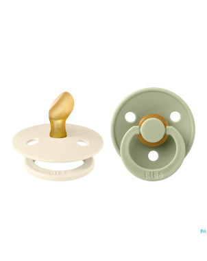 Bibs 1 sucette anatomic duo ivory/sage