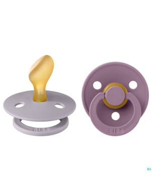 Bibs 2 sucette anatomic duo fossil/mauve