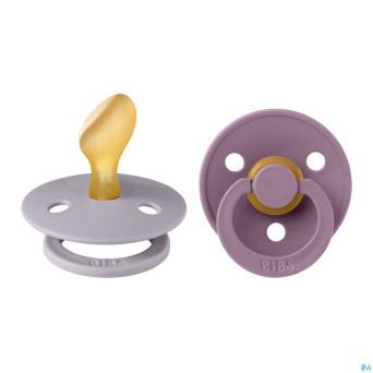 Bibs 2 sucette anatomic duo fossil/mauve