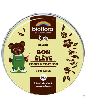Biofloral enfants bon eleve gommes bio 45g
