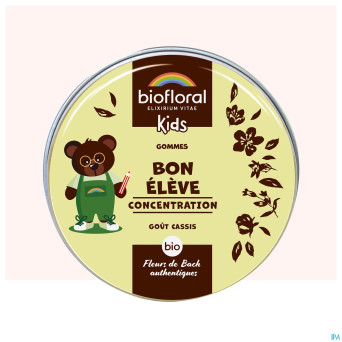 Biofloral enfants bon eleve gommes bio 45g