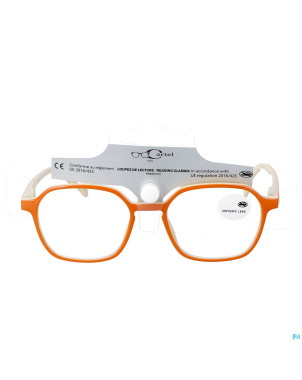 Cartel loupe lecture divine 1.5 asie