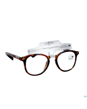 Cartel loupe lecture oxford 2.5 asie