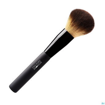 Couleurs de noir pinceau poudre n11 nf