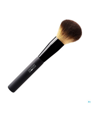 Couleurs de noir pinceau poudre n11 nf