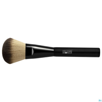 Couleurs de noir pinceau poudre n11 nf