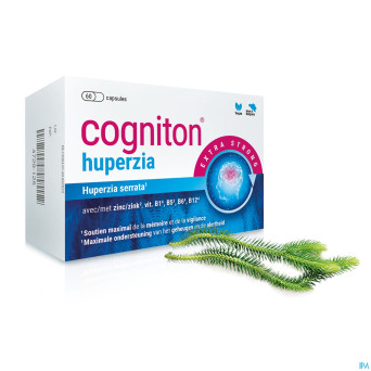 Cogniton huperzia caps 60