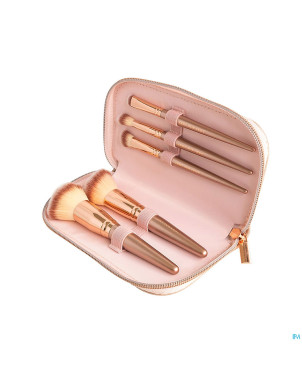 Cent pur cent clutch luxe brush set 5
