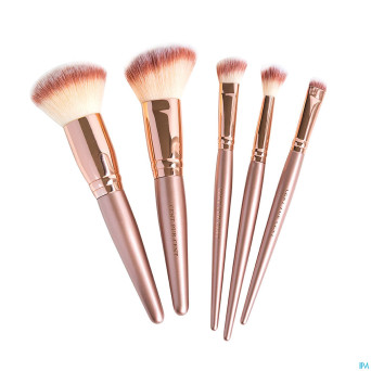 Cent pur cent clutch luxe brush set 5
