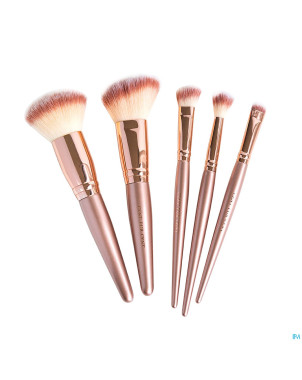 Cent pur cent clutch luxe brush set 5
