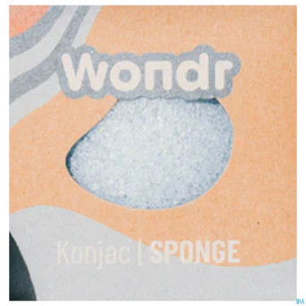 Wondr eponge konjac bleu 1