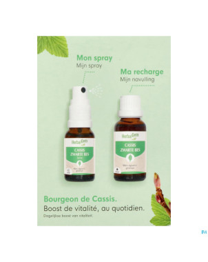 Herbalgem cassis bio spray 15ml+gtt 30ml duopack