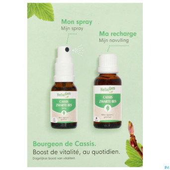 Herbalgem cassis bio spray 15ml+gtt 30ml duopack