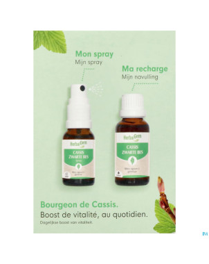 Herbalgem cassis bio spray 15ml+gtt 30ml duopack