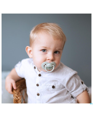 Difrax sucette dynamic botanic blue&green 3m+ 2