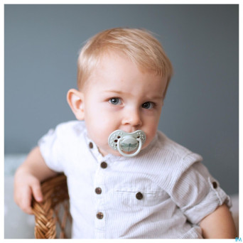 Difrax sucette dynamic botanic blue&green 18m+ 2