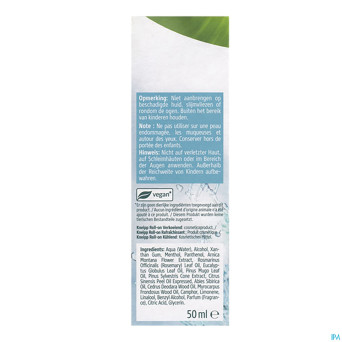 Kneipp arnica roll-on rafraichissant 50ml