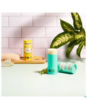 Weleda deo stick 24h eucalyptus & peppermint 50g