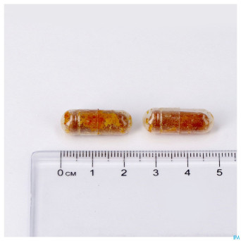 Natalvits caps 30 lepivits