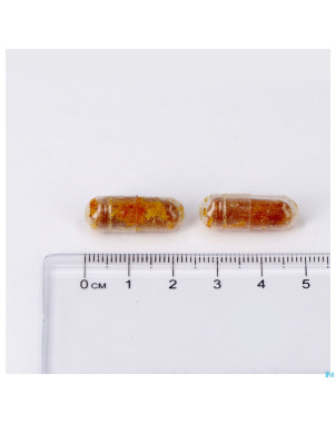 Natalvits caps 30 lepivits