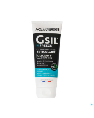 Gsil freeze gel surconcentre aritculaire 200ml