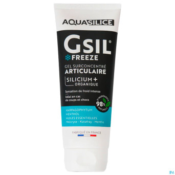 Gsil freeze gel surconcentre aritculaire 200ml