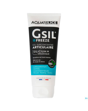 Gsil freeze gel surconcentre aritculaire 200ml