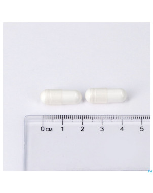 Magnesium malate caps 60 lepivits