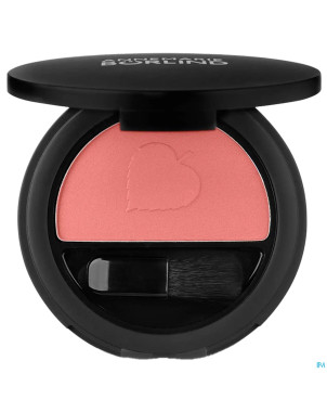 Annemarie borlind blush pdr coral glow 5g