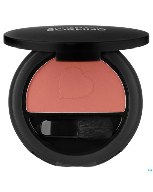 Annemarie borlind blush pdr raspberry delight 5g