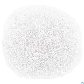 Annemarie borlind rose nat.blue light prot. 100ml