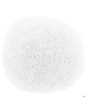 Annemarie borlind rose nat.blue light prot. 100ml