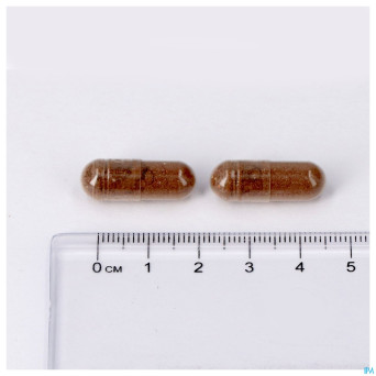 Regluvits caps 60 lepivits