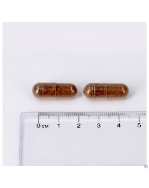 Regluvits caps 60 lepivits